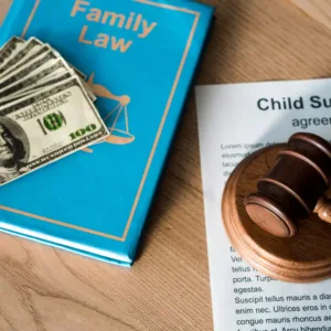 What Are the Factors in Determining Child Support Obligations?